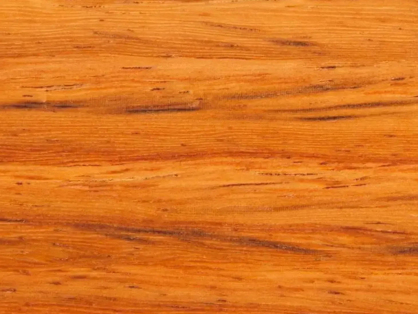 Adlon3 - Magnet knivskinne i Padauk - længde 40 cm