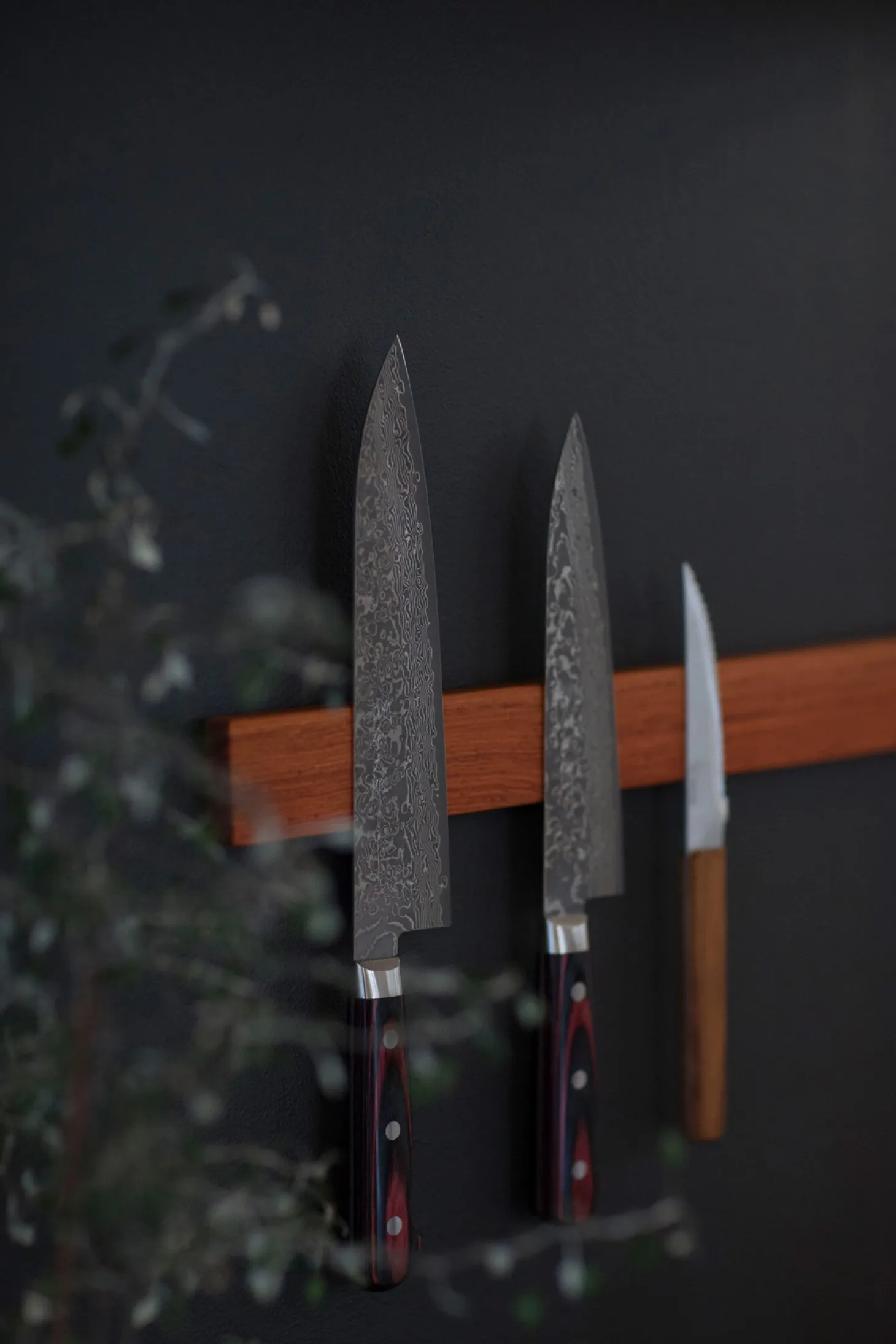Adlon3 - Magnet knivskinne i Padauk - længde 40 cm