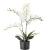 Bloomingville - Orchid Kunstig Plante