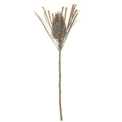 Bloomingville - Palmflower Kunstig stilk - Brun, Plastik