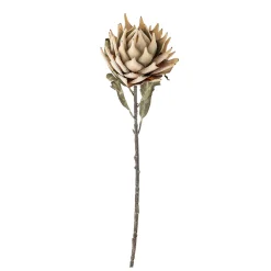 Bloomingville - Protea Kunstig stilk - Natur