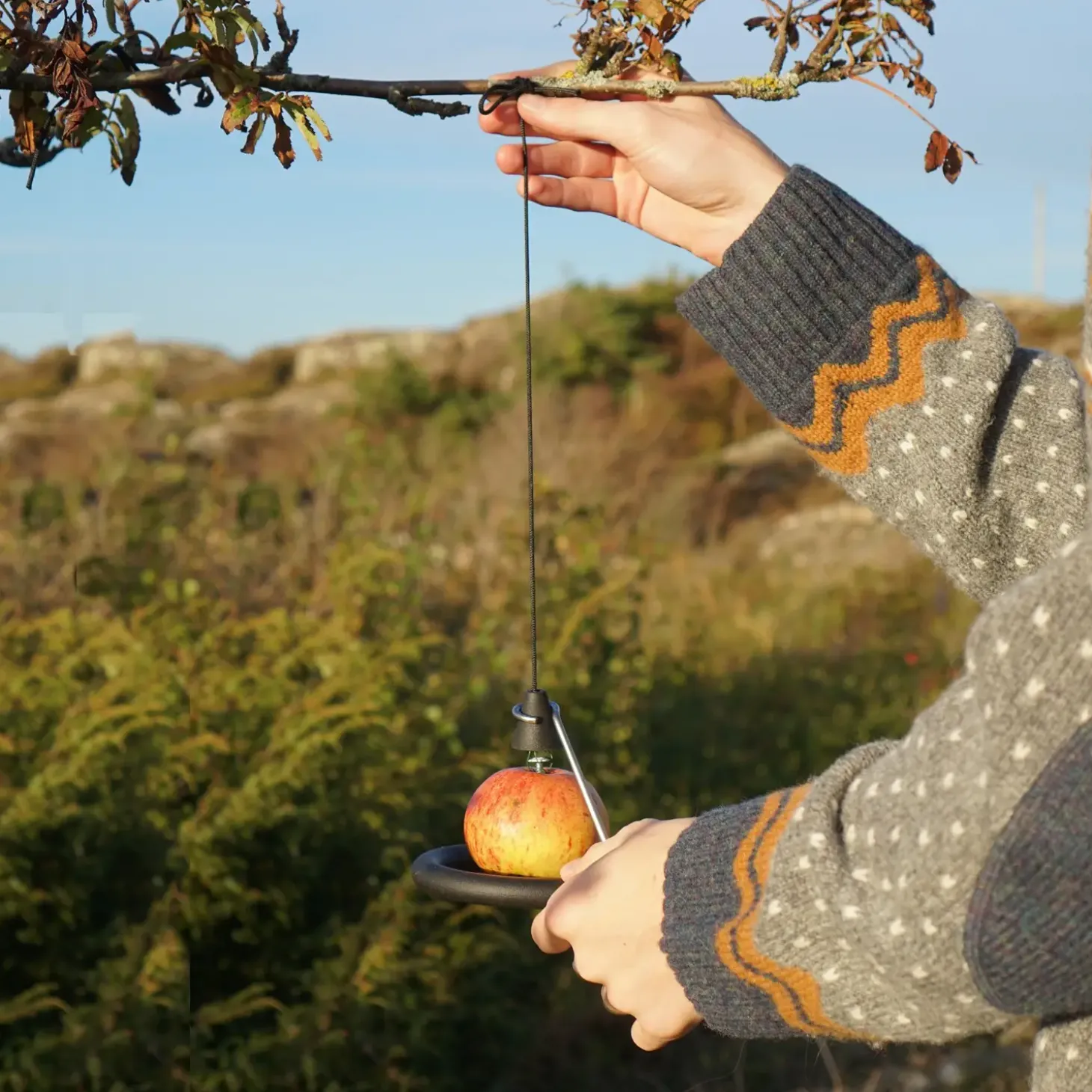 Born in Sweden - Fatball Hanger