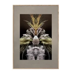 ChiCura - Vintage Reflection CC1 - 50/70