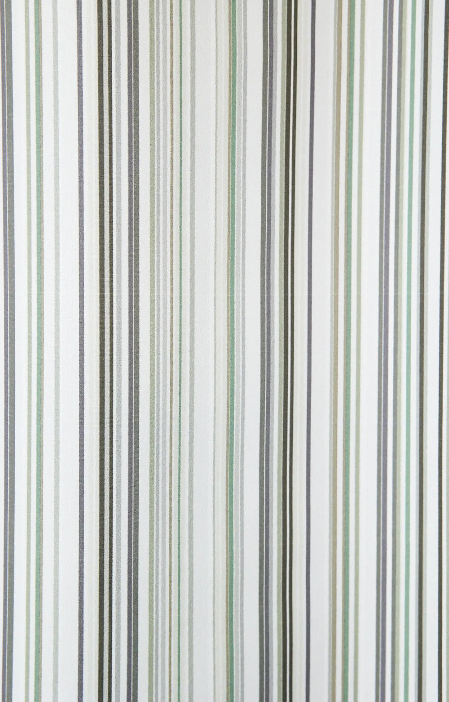 Compliments - Badeforhæng - Spectrum shower curtain w/eyelets 200 cm - Grøn