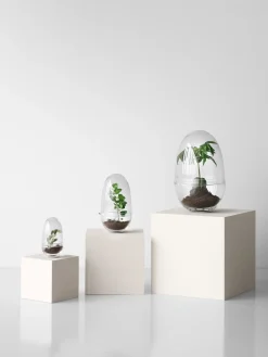 Design House Stockholm - Grow Greenhouse - Medium
