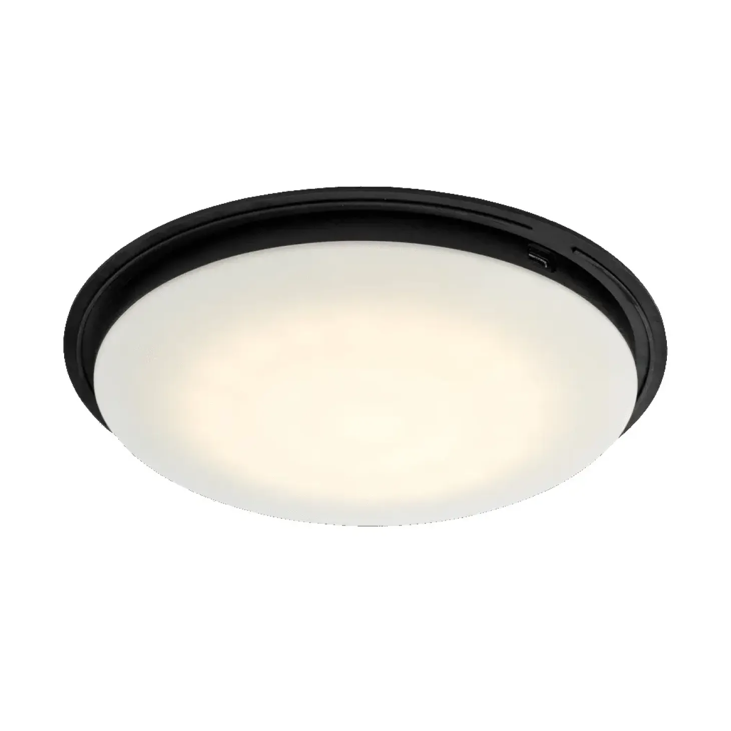 Ekta Living - Solar Down Light - Large