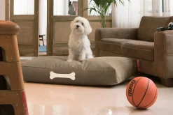 Fatboy - Doggielounge - Canvas Recycled - S - Taupe Grey