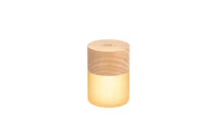 Gingko - Lemelia Light - White Ash - Mini - 6x4 cm