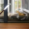 Gingko - Octagon One Desk Lamp - Walnut