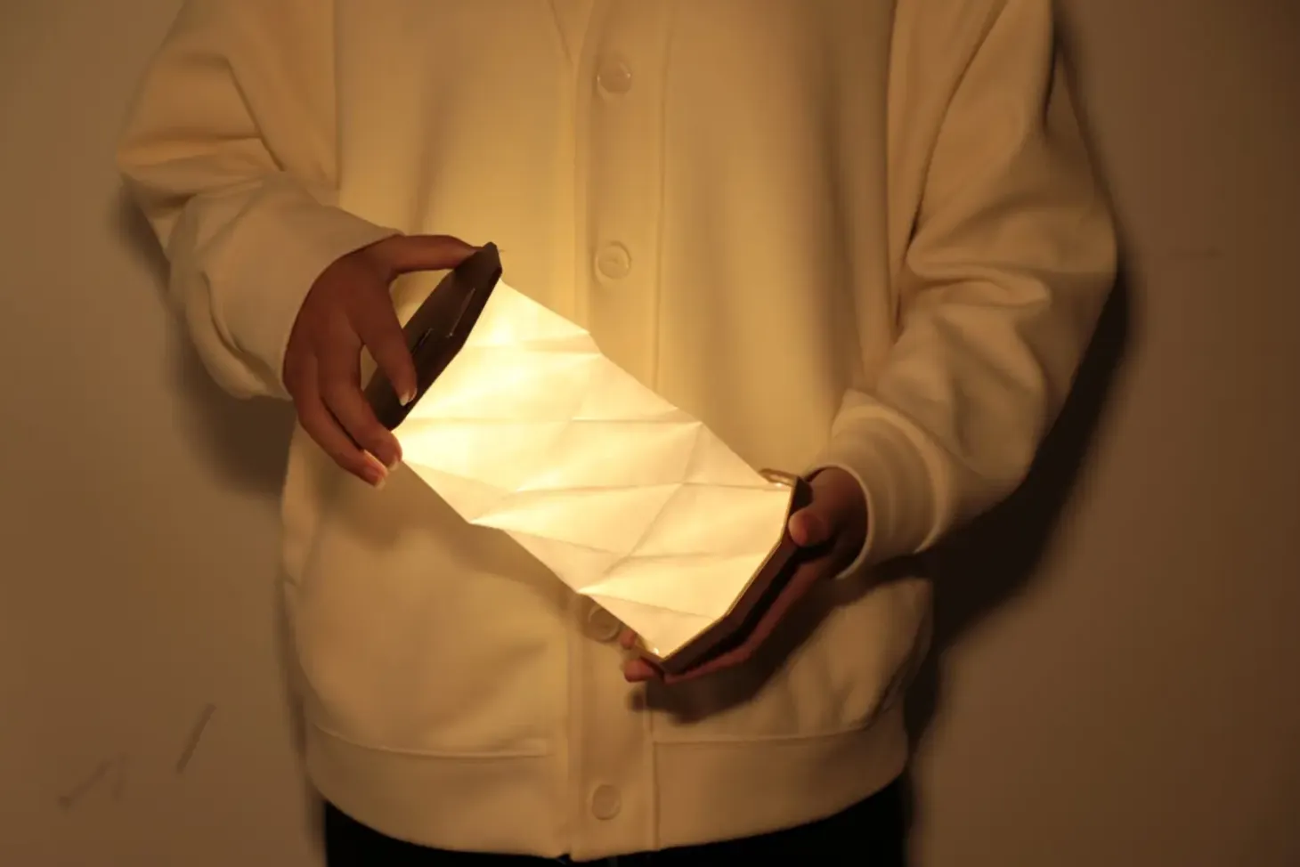 Gingko - Twist Hexagon Lamp - Black