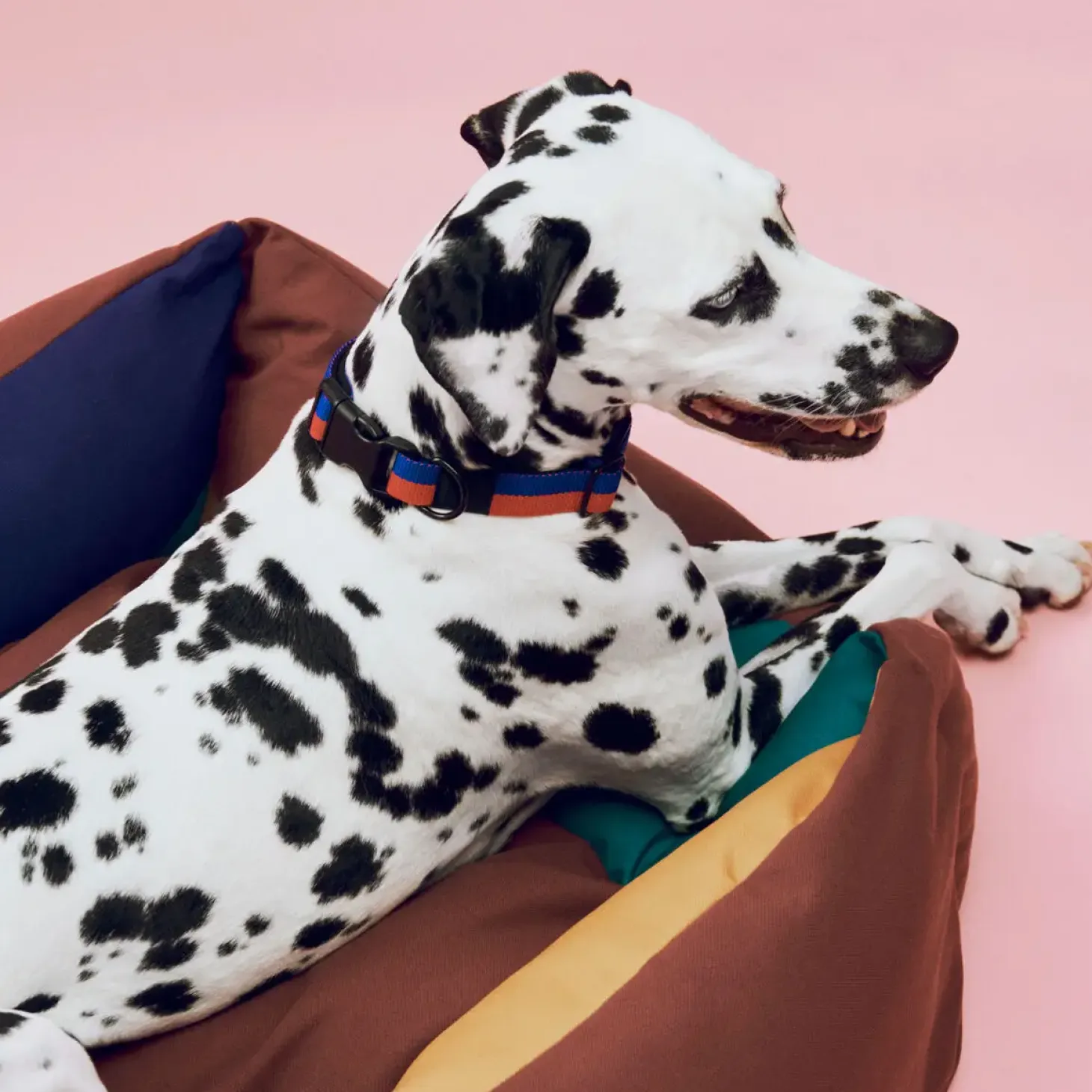 Hay - HAY Dogs Bed Zip - X-small - Rød/Hvid