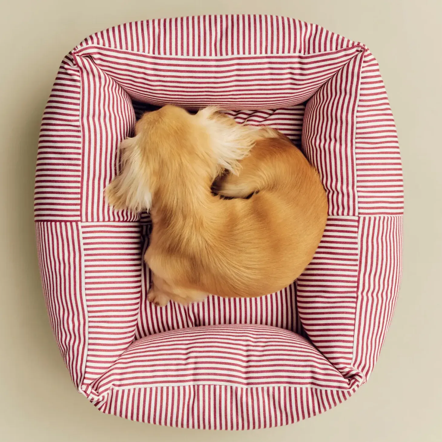 Hay - HAY Dogs Bed Zip - X-small - Rød/Hvid