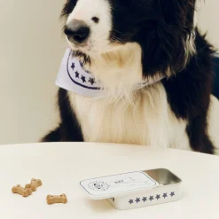 Hay - HAY Dogs Treat Tin - Small - Blå/hvid