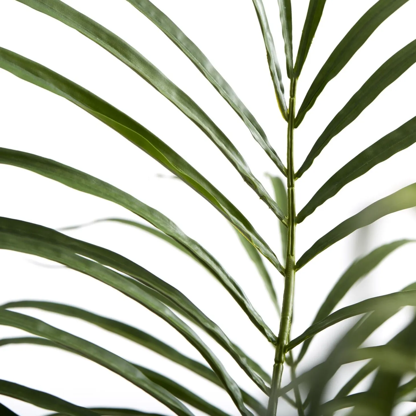 Lene Bjerre - Flora kentia palme H185 cm. grøn