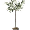 Lene Bjerre - Oliventræ Flora - 73 cm.