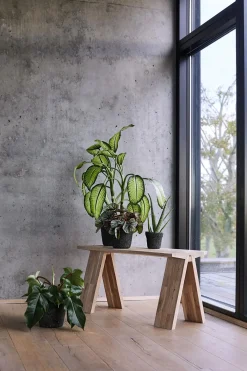 Muubs - Bænk Angle - Eg