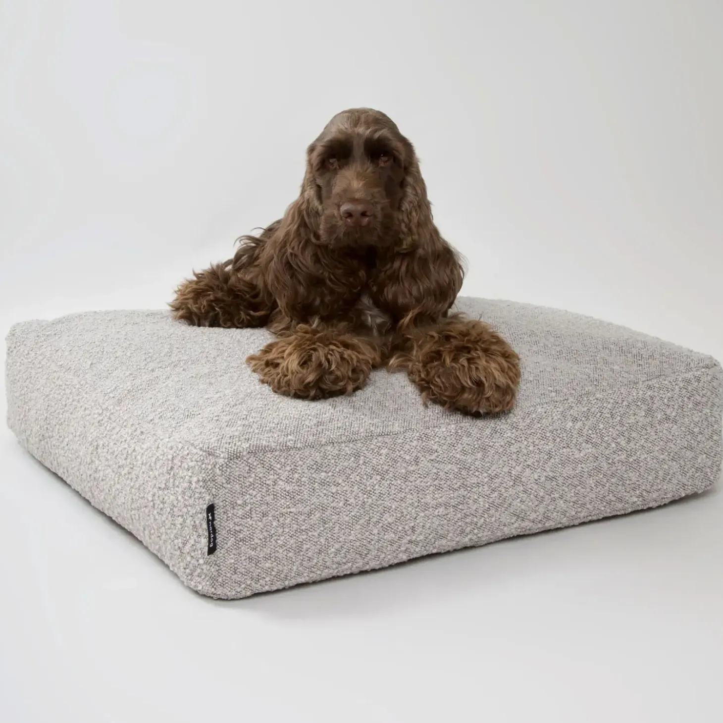 Nordog - Billy Bouclé hundepude - Taupe - Medium