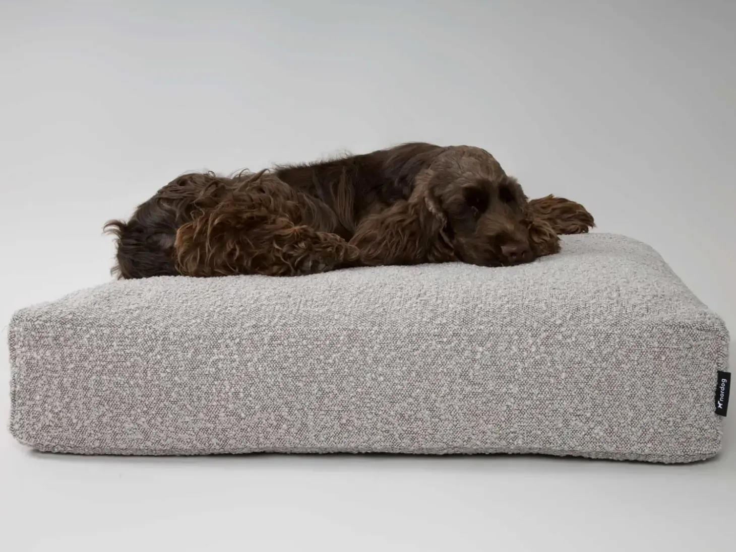 Nordog - Billy Bouclé hundepude - Taupe - Medium