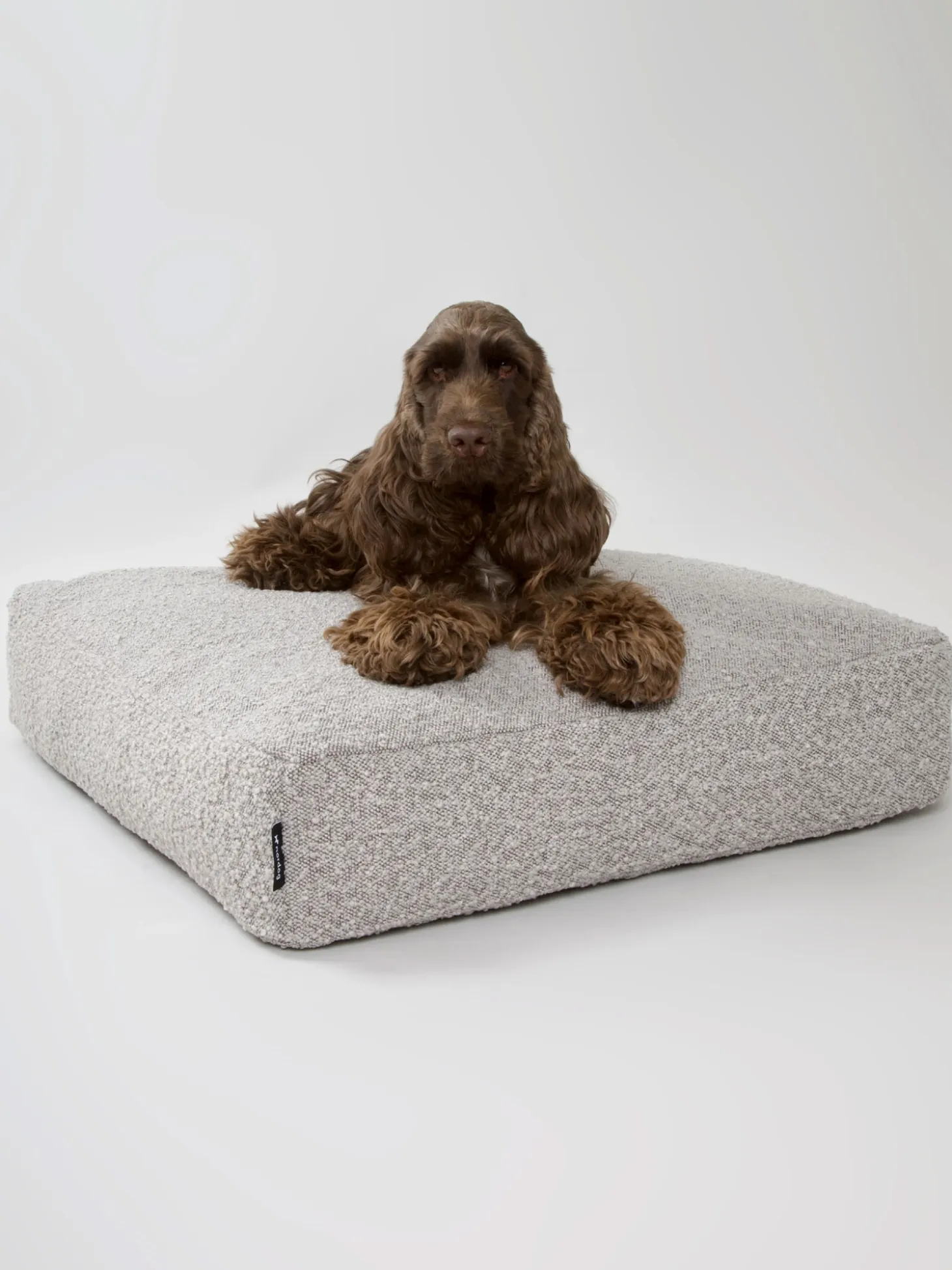 Nordog - Billy Bouclé hundepude Taupe - large