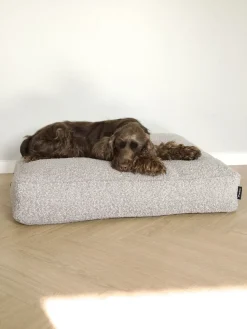 Nordog - Billy Bouclé hundepude Taupe - large