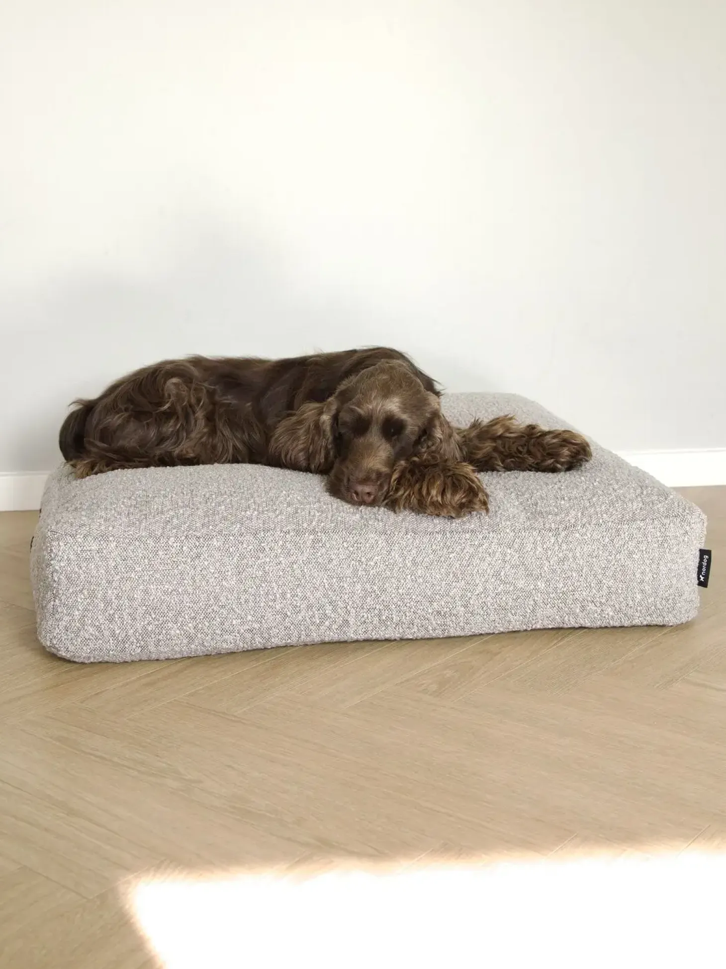 Nordog - Billy Bouclé hundepude Taupe - large