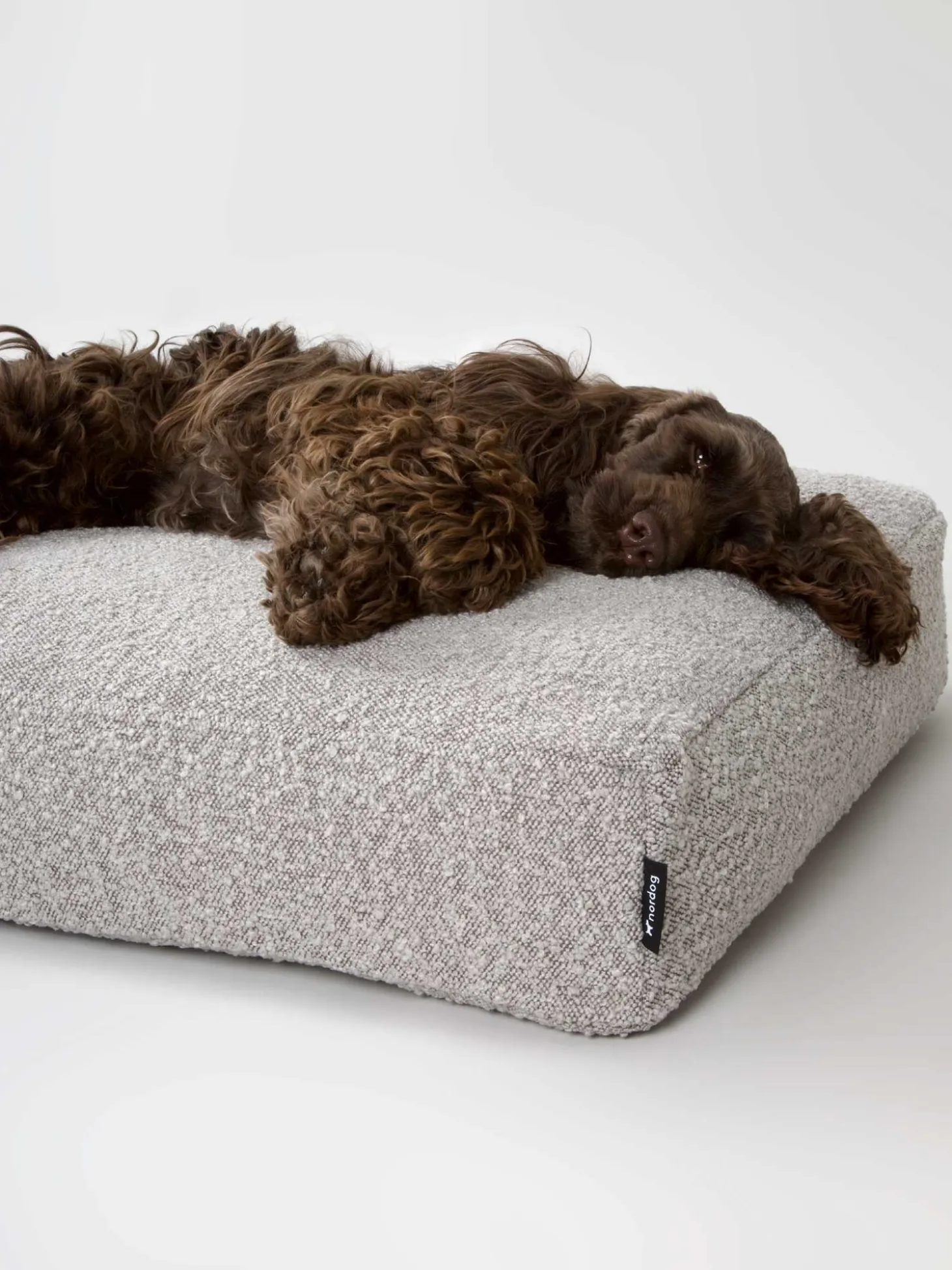 Nordog - Billy Bouclé hundepude Taupe - large