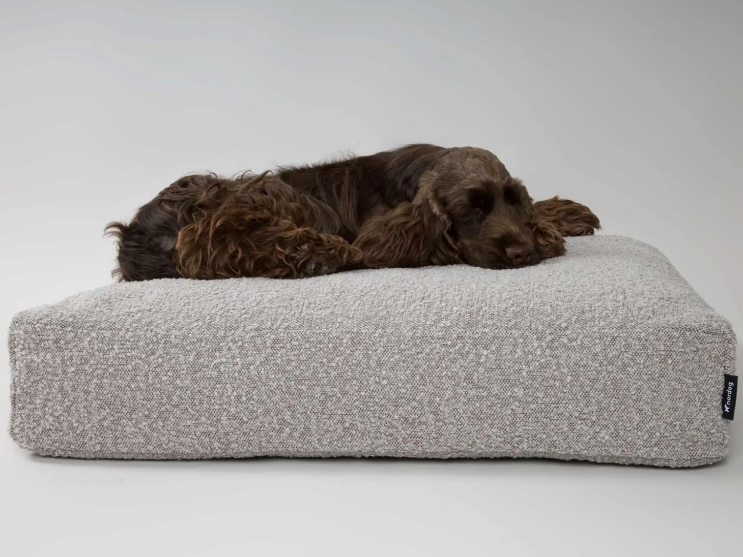 Nordog - Billy Bouclé hundepude Taupe - large