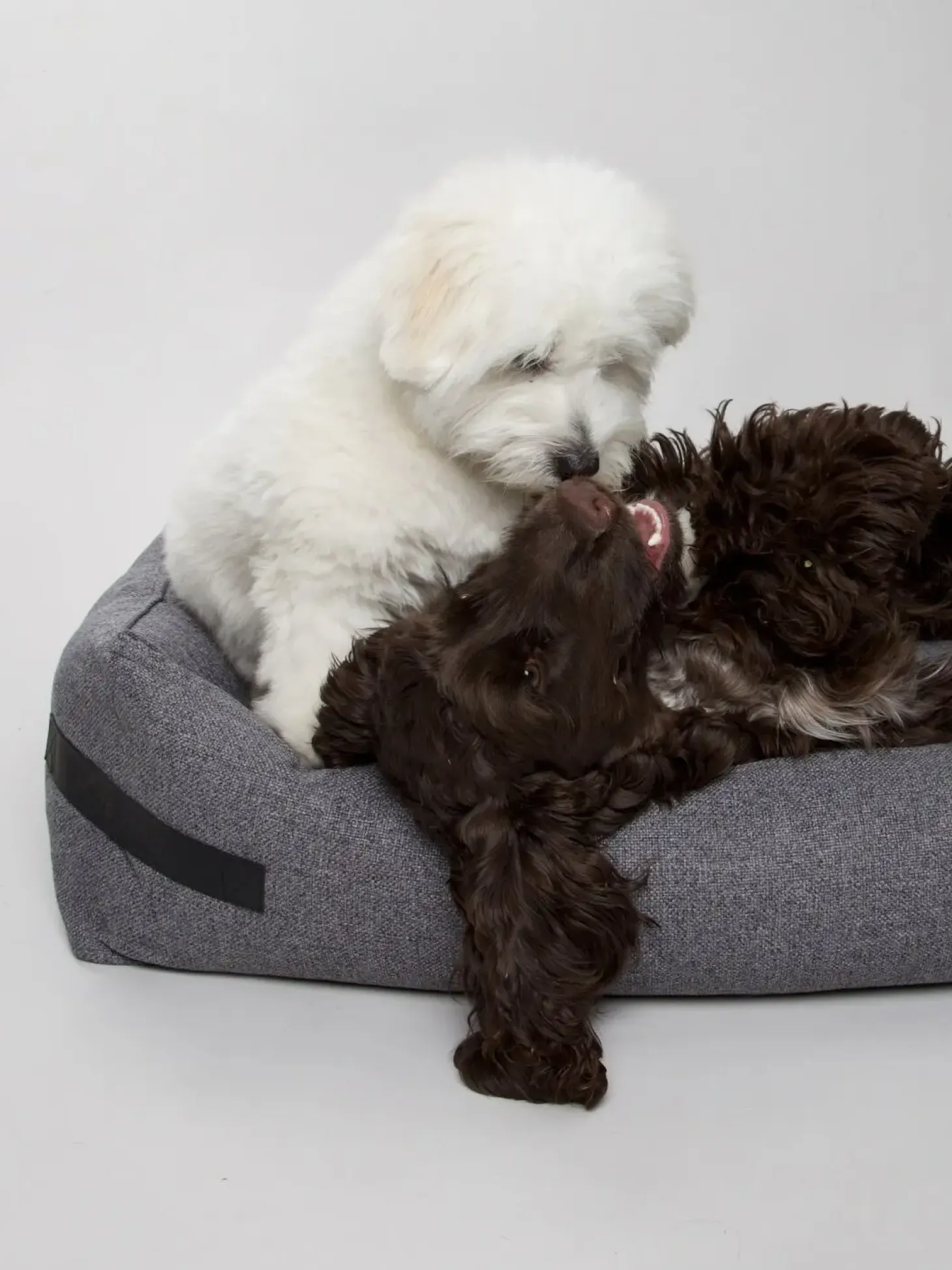 Nordog - Hundeseng HYGGE Anthracite - small
