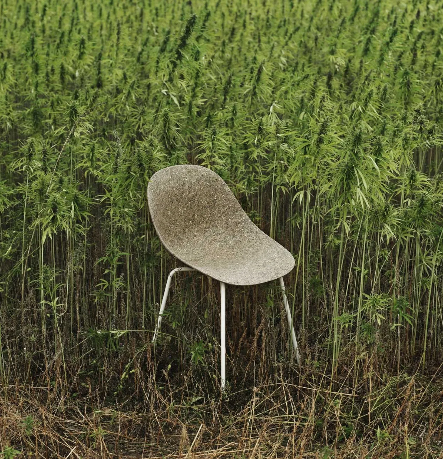Normann Copenhagen - Spisebordsstol - Mat Chair - Seaweed - Creme/Stål