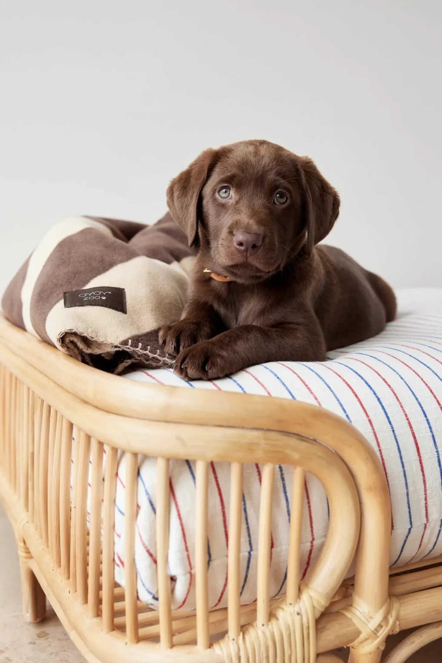 OYOY Zoo - Milo Ternet Hundepude - Small - Clay Melange