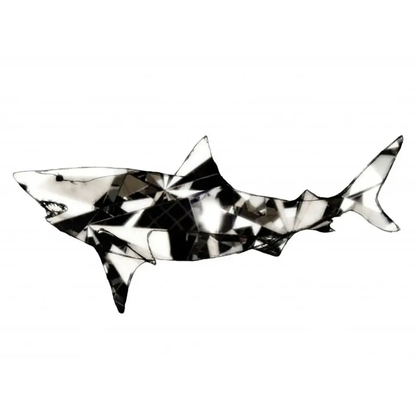 Paradisco Productions illustration - Shark Superior plakat (A3)