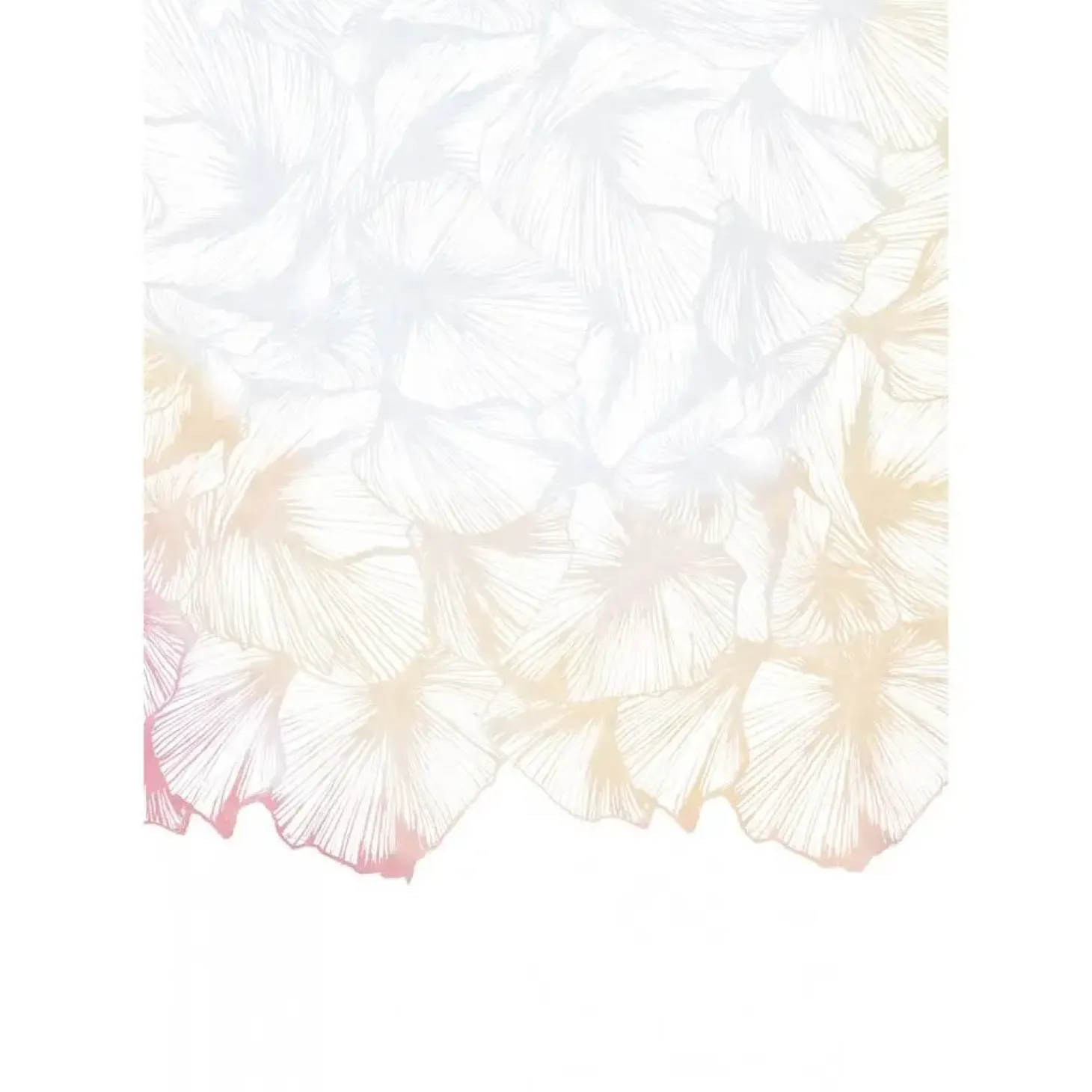 Paradisco Productions illustration - Soft Transparency plakat (70 x 100)
