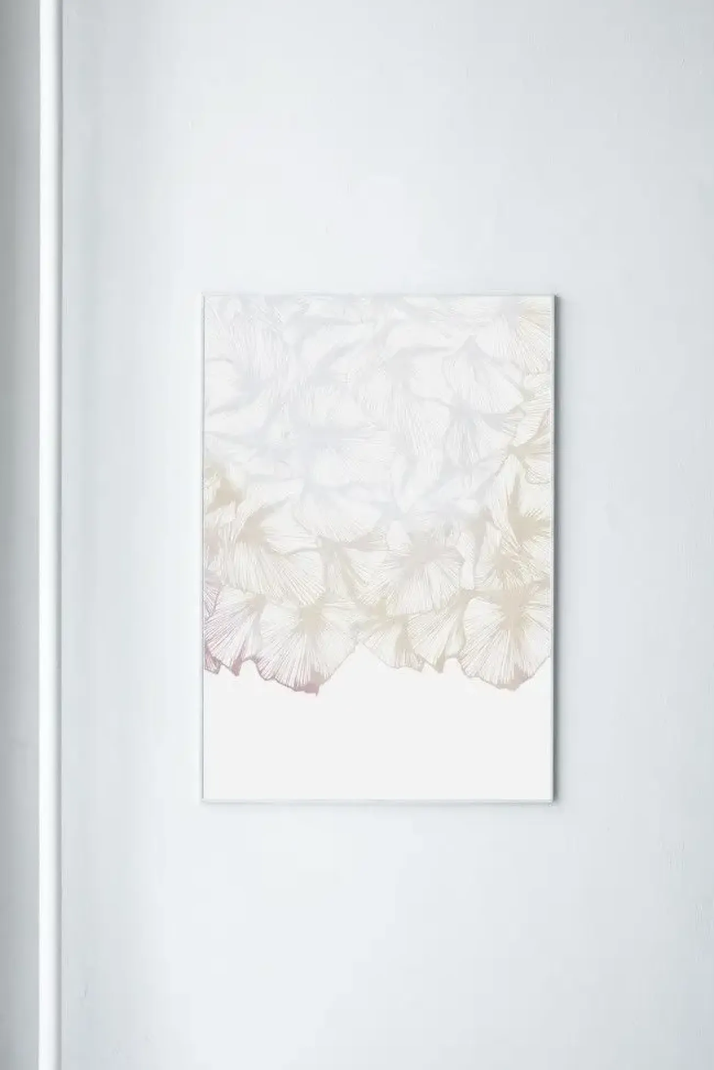 Paradisco Productions illustration - Soft Transparency plakat (70 x 100)
