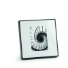 Philippi - Infinity frame 13 x 18 cm