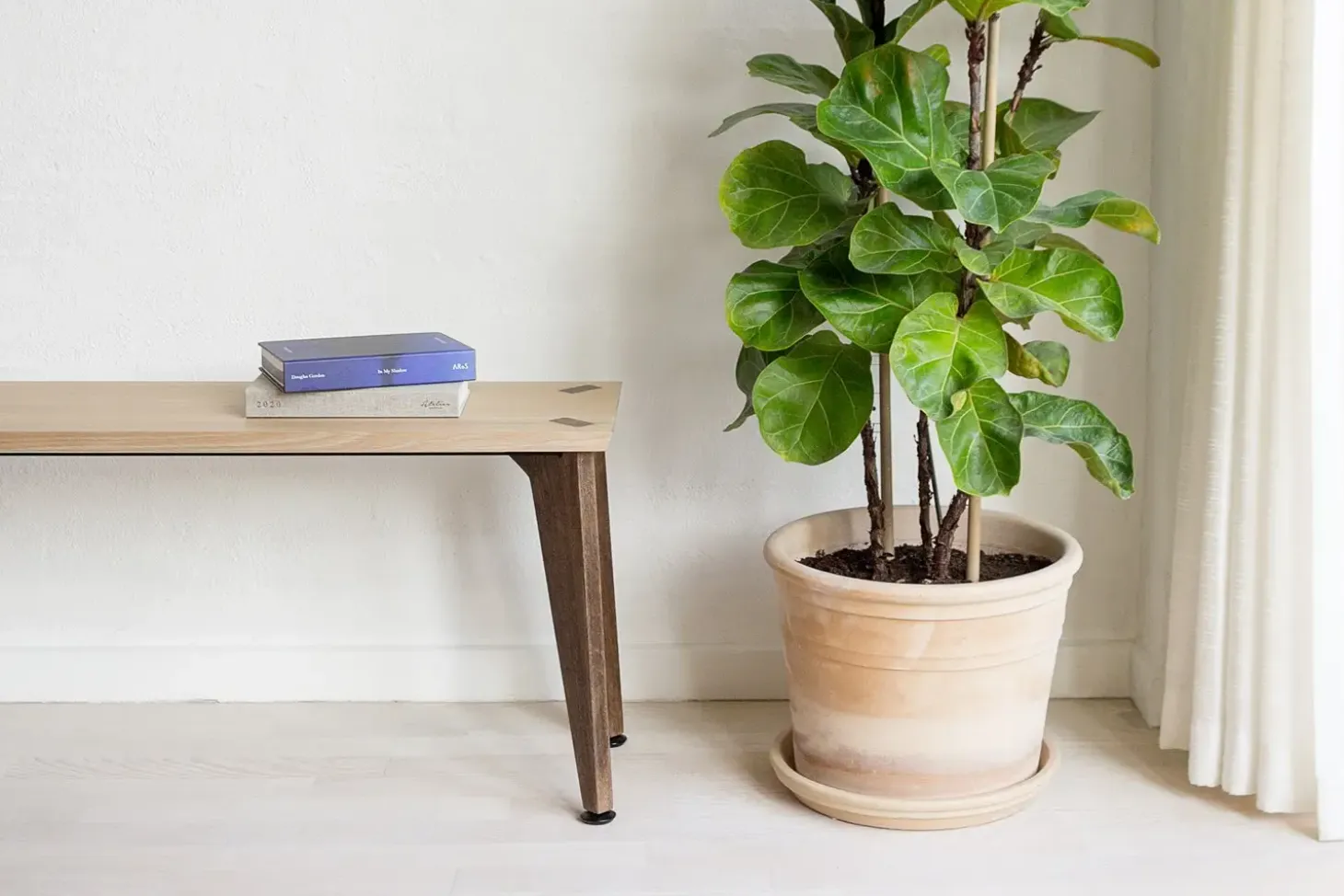Roon & Rahn by We Do Wood - "Rank Bench" - Bænk