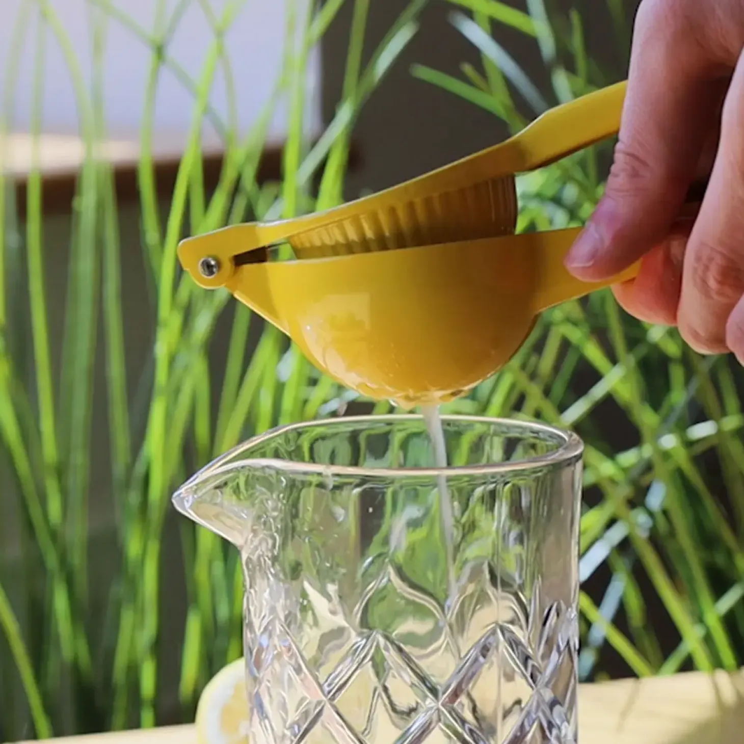 Royal Series - Citronpresser