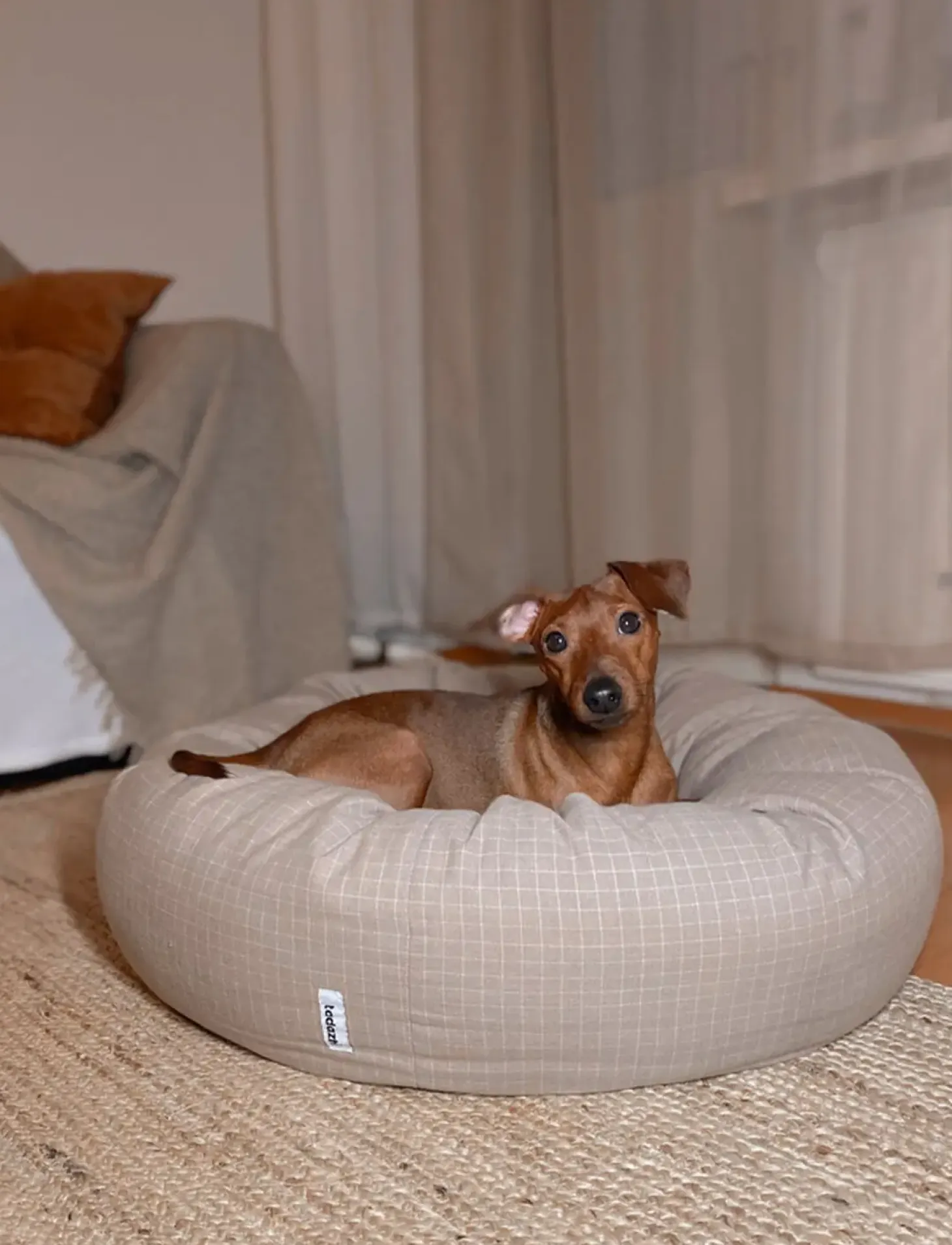 Tadazhi - Donut hundeseng - Sandternet - Str. S