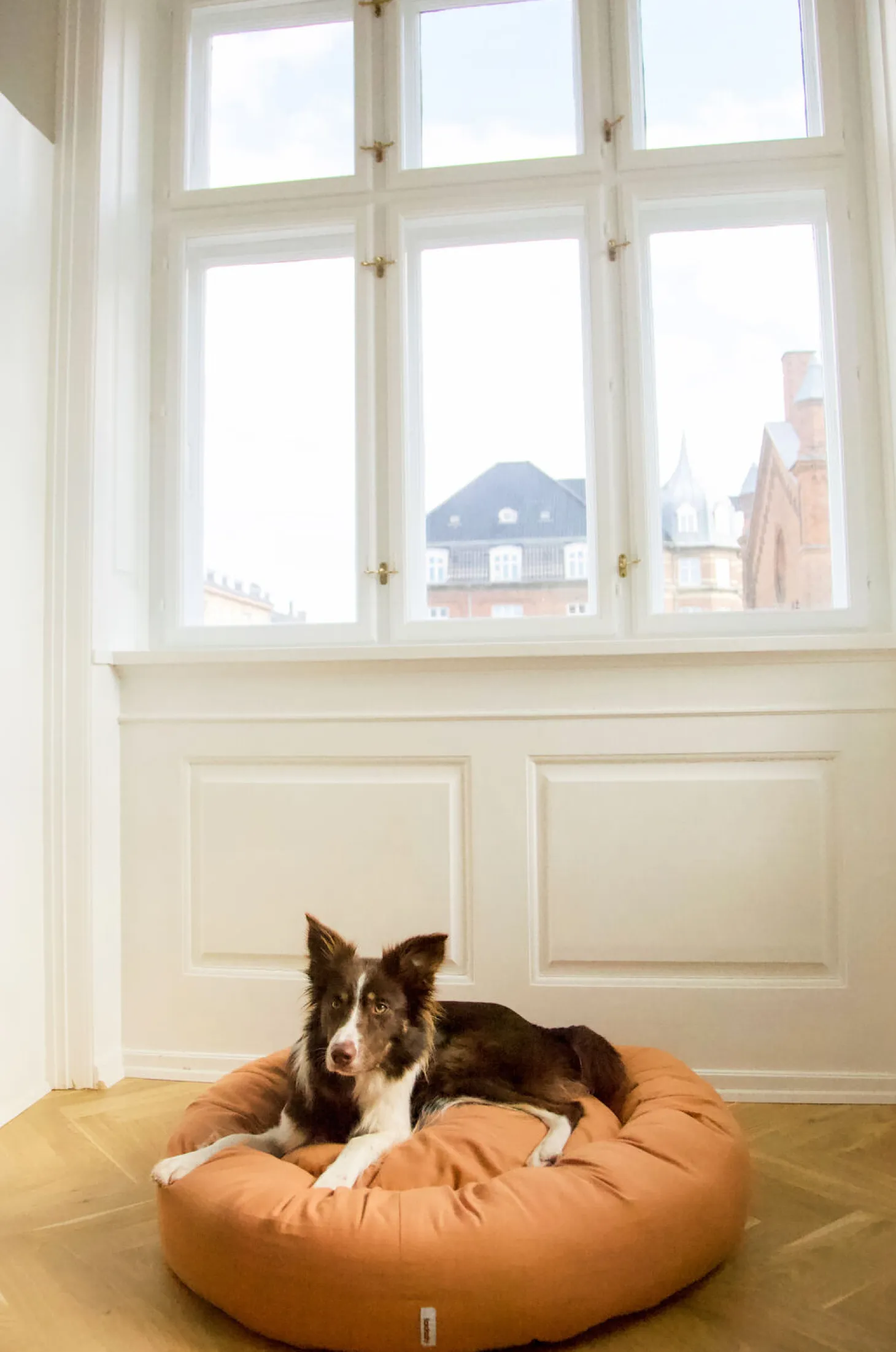 Tadazhi - Donut hundeseng - Lysebrun - Str. L